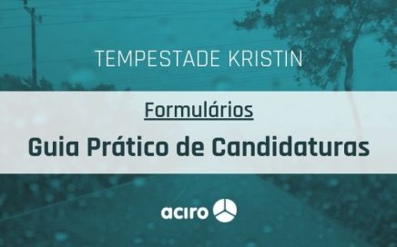 Tempestade Kistin - Formulários de Apoio - Guia de preenchimento